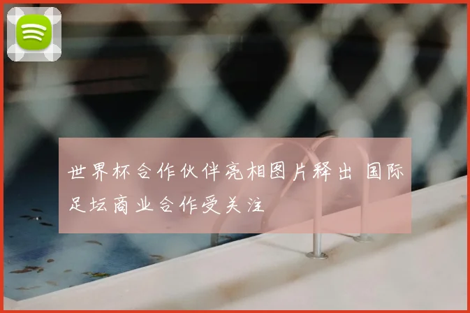 世界杯合作伙伴亮相图片释出 国际足坛商业合作受关注